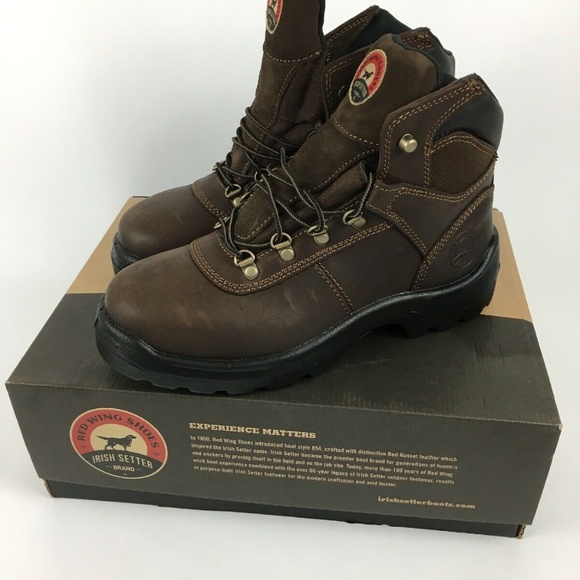 83608 Irish Setter 2025